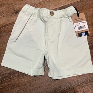 Chubbies NWT Sea foam green shorts size 6